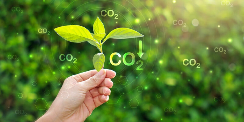 jejak karbon,menghitung jejak karbon